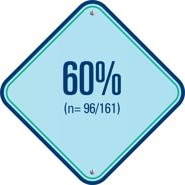 icon showing 60% (n=96/161)