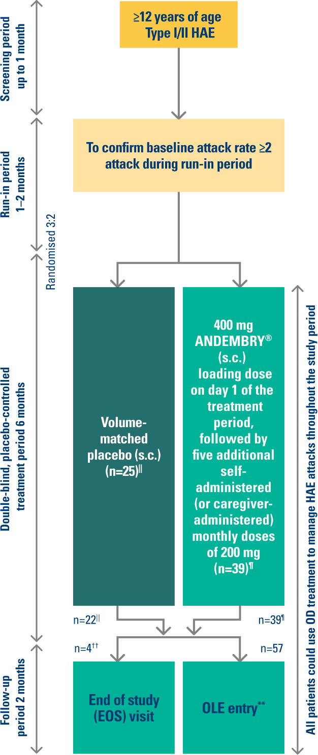 Image of VANGUARD study design